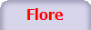 Flore