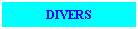 Zone de Texte: DIVERS
